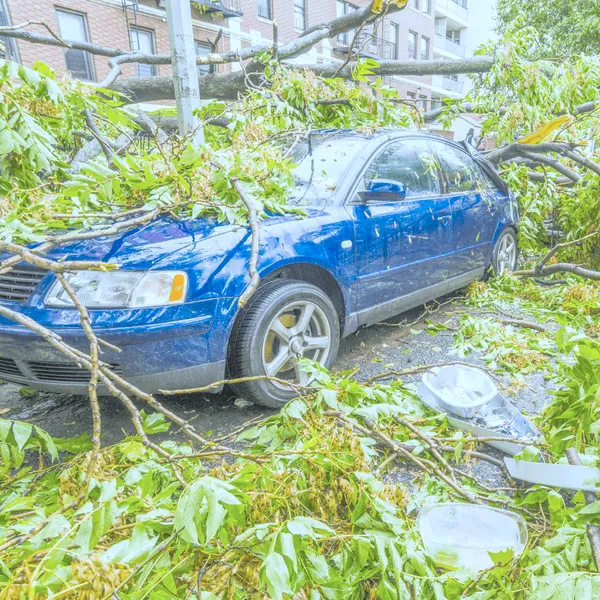 Property Damages From Unexpected Weather Original